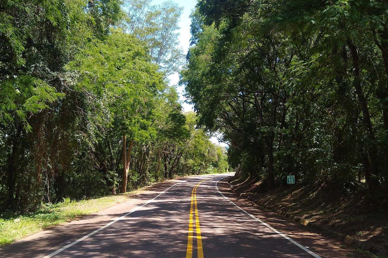 DER/PR analisa propostas para poda de árvores em rodovias do Oeste e Sudoeste - Foto: DER-PARANÁ