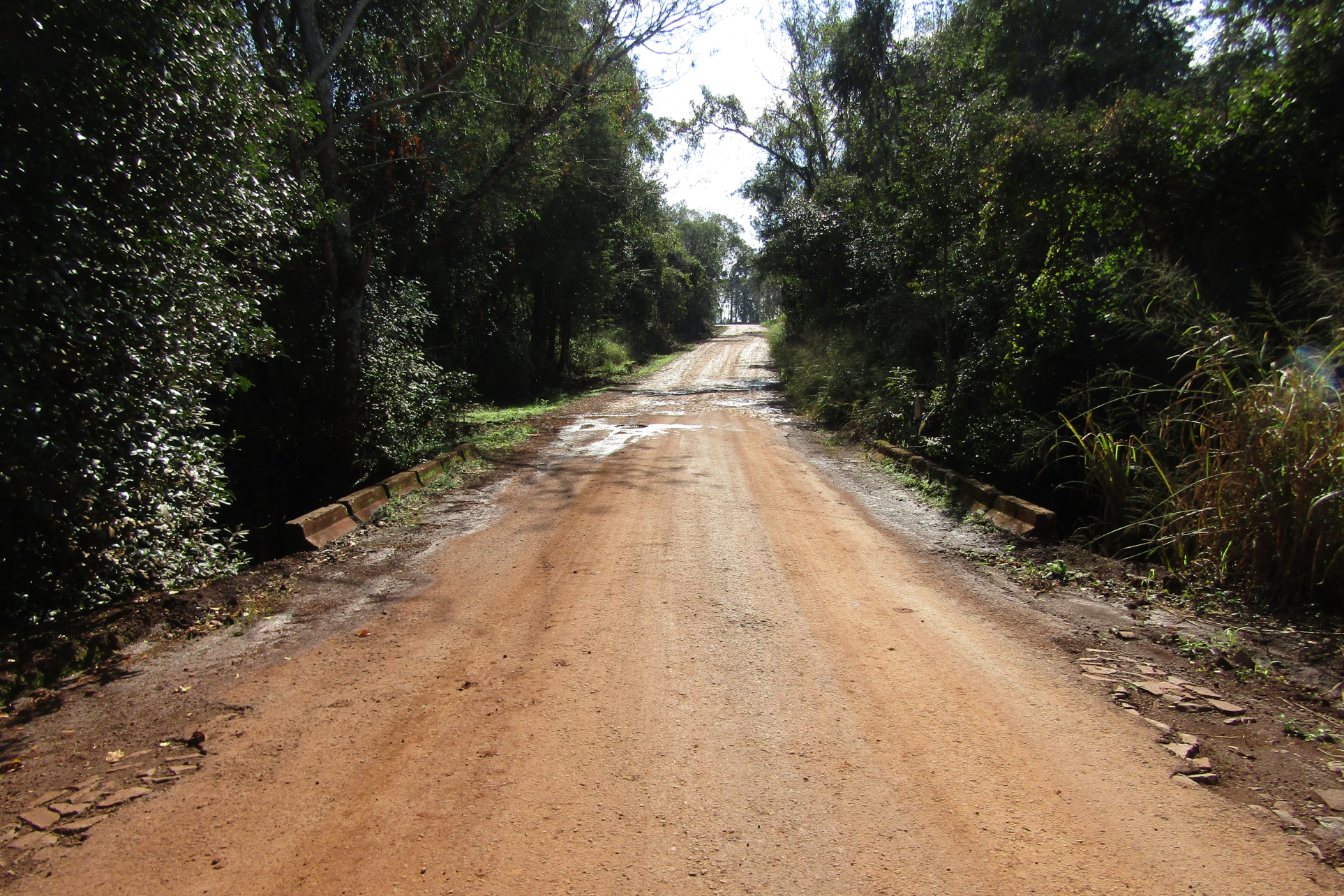 Com abertura de envelopes, licitação para obras em 13 pontes no Oeste entra em nova fase Foto: DER