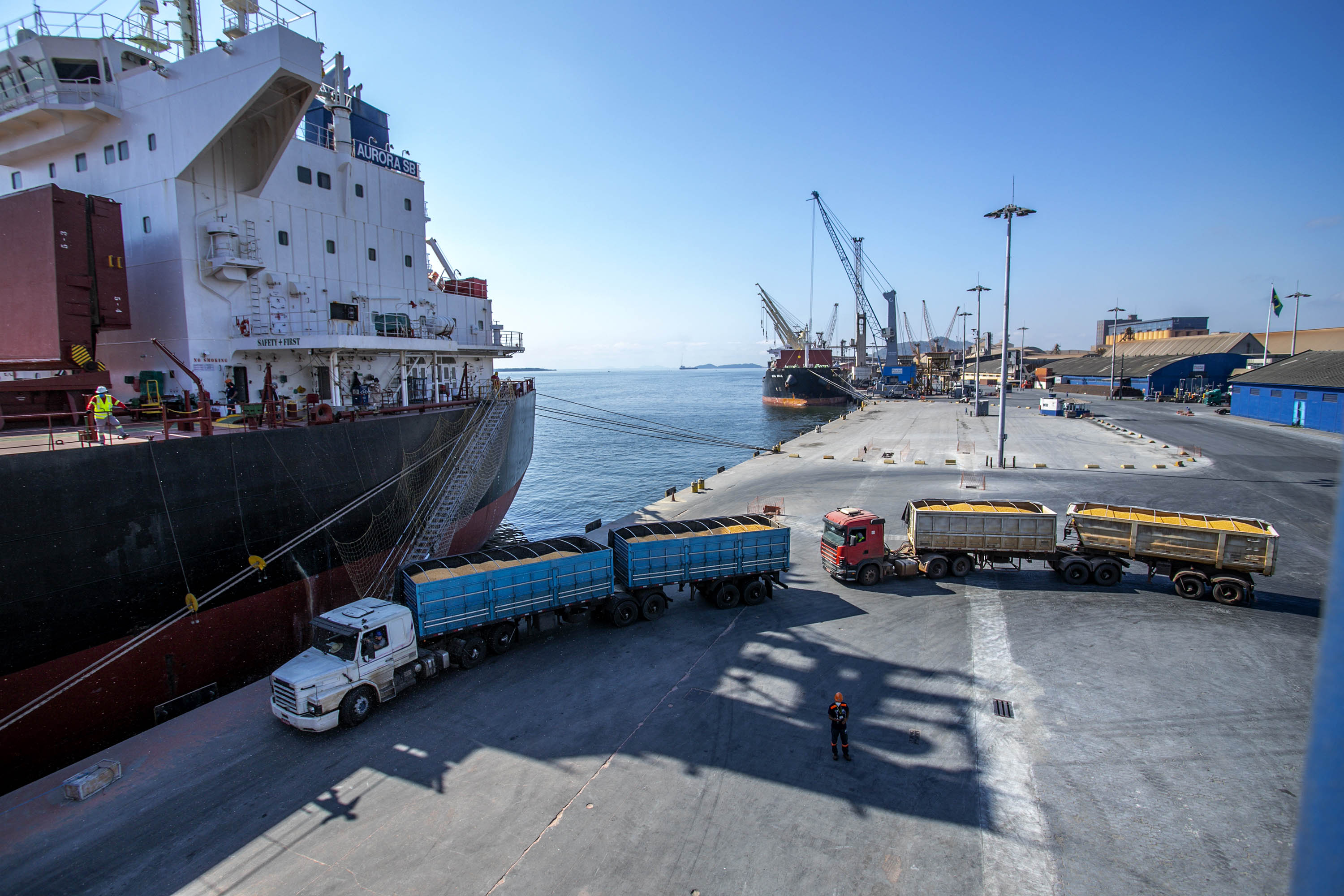Paraná registra o maior crescimento do Brasil nas exportações no 1º trimestre de 2023 Foto: Claudio Neves/Portos do Paraná