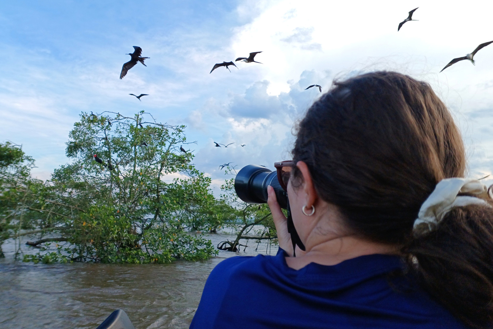 Pesquisadora realizando registro de aves fragatas (Fregata magnificiens)