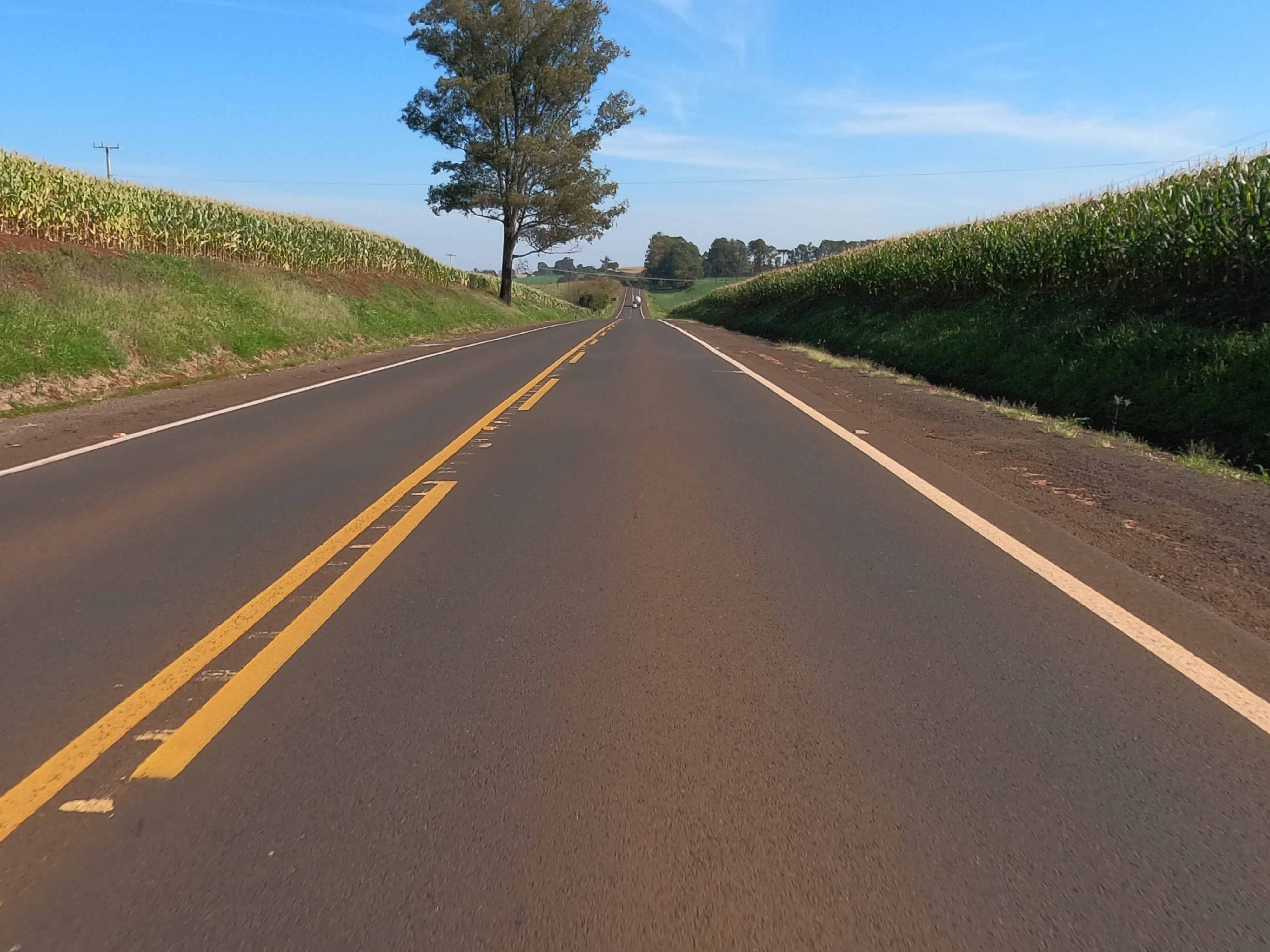 Edital de restauração de rodovia entre Mauá da Serra e Lidianópolis tem resultado final