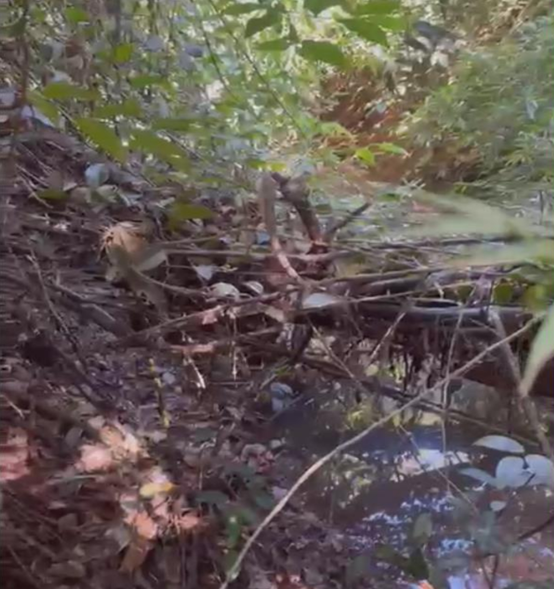 Floraí e Estado vão construir nova ponte para ligar estradas municipais na área rural
