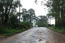 Estado assina ordem de serviço para pavimentação entre Imbaú e Reserva, nos Campos Gerais Foto: DER