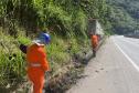 DER inicia nova etapa da recuperação da BR-277 no Litoral nesta segunda-feira - Foto: DER