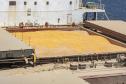Volume de milho embarcado em janeiro em Paranaguá é 161% superior ao mesmo mês de 2022 Foto: Claudio Neves/Portos do Paraná