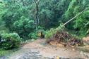 Novo deslizamento de terra bloqueia Estrada da Graciosa nesta quarta - Foto: DER