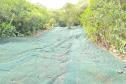 DER/PR chega à fase final das obras no km 41 da BR-277, no Litoral Foto: DER