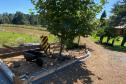 Reformas de pontes alteram tráfego de veículos em União da Vitória - Z Ponte Rio Empoçado na PR-446 em Bituruna
