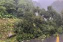 Estrada da Graciosa é bloqueada após deslizamento de terra no km 11 Foto: DER-PR