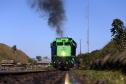 Nova Ferroeste e Moegão vão ampliar fluxo de mercadorias do Mato Grosso do Sul a Paranaguá Foto: Albari Rosa/Arquivo AEN