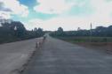 Obra de restauração de rodovia em concreto entre Palmas e Clevelândia chega a 75%