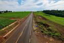 nova estrada entre Ramilândia e Santa Helena