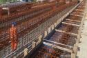 Obras de duplicação em concreto da Rodovia dos Minérios
