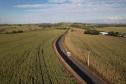 Obras da nova estrada entre Ramilândia e Santa Helena 