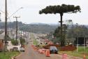 Duplicação da PRC-466 entre Guarapuava e o distrito de Palmeirinha