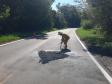 PR-431 entre Cambará, Jacarezinho e Ribeirão Claro