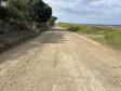 Governo do Estado vai pavimentar segundo trecho da PR-436 em Ribeirão do Pinhal