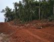 Obra de concreto em rodovias entre Nova Tebas e Pitanga avança em terraplenagem