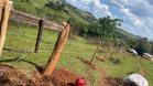 Sonho antigo, PR-239 entre Mato Rico e Roncador já tem obras de pavimentação