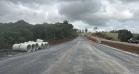 Duplicação em concreto de rodovia entre Pitanga e Turvo chega a 57%
