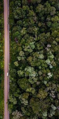 O governador Carlos Massa Ratinho Junior entregou nesta quinta-feira (06) as obras de pavimentação e recape asfáltico da Rodovia Municipal João Maria de Jesus, em Turvo, na Região Central do Paraná.Foto: Jonathan Campos/AEN