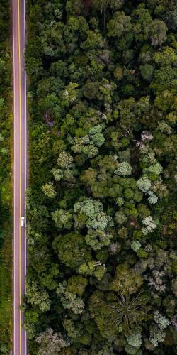 O governador Carlos Massa Ratinho Junior entregou nesta quinta-feira (06) as obras de pavimentação e recape asfáltico da Rodovia Municipal João Maria de Jesus, em Turvo, na Região Central do Paraná.Foto: Jonathan Campos/AEN
