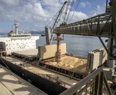 Quadrimestre fecha com aumento de 2,4% na movimentação de cargas pelos portos do Paraná Foto: Claudio Neves/Portos do Paraná