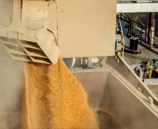 Exportação de milho a granel sobe 161% pelo Porto de Paranaguá Foto: Claudio Neves/Portos do Paraná