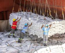 Chuvas impactam carregamento de açúcar nos portos do Paraná -  Foto: Claudio Neves/Portos do Paraná
