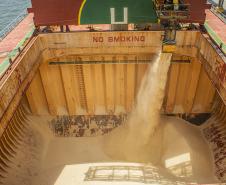 Porto de Paranaguá espera carregar 7 milhões de toneladas de grãos e farelos no 1º trimestre - Foto: Claudio Neves/Portos do Paraná