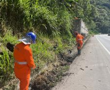 DER inicia nova etapa da recuperação da BR-277 no Litoral nesta segunda-feira - Foto: DER