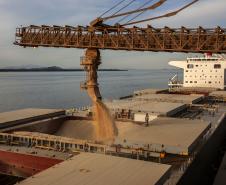 Porto de Paranaguá espera carregar 7 milhões de toneladas de grãos e farelos no 1º trimestre - Foto: Claudio Neves/Portos do Paraná