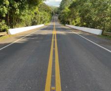 Com 195 obras, Paraná promove maior pacote de reforma de pontes e viadutos da história Foto: DER