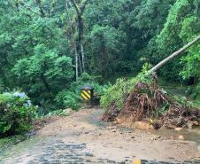 Novo deslizamento de terra bloqueia Estrada da Graciosa nesta quarta - Foto: DER