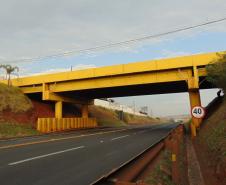 Avançam editais de reforma de 35 pontes nas regiões Norte, Norte Pioneiro e Vale do Ivaí - Viaduto km 0,19 PR-444 em Arapongas Foto: DER