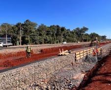 Duplicação da Rodovia das Cataratas chega a 11,81% de conclusão Foto: DER