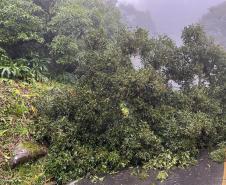 Estrada da Graciosa é bloqueada após deslizamento de terra no km 11 Foto: DER-PR