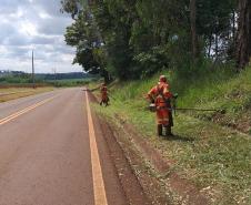 Governo lança edital de R$ 768,3 milhões para conservação de 11 mil km da faixa de domínio Foto: DER-PR