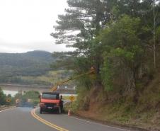 PR-170 Pinhão poda de árvores
