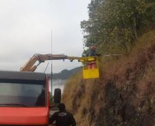 PR-170 Pinhão poda de árvores
