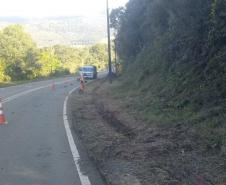 PR-170 Pinhão roçada