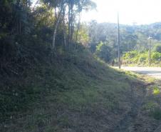 PR-170 Pinhão roçada