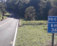 PR-534 entre Centenário do Sul e Miraselva recebe serviços de segurança viária
