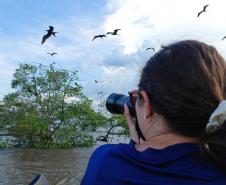 Pesquisadora realizando registro de aves fragatas (Fregata magnificiens)