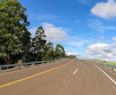 pavimentação da PR-239
