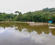 paisagem de Mato Rico