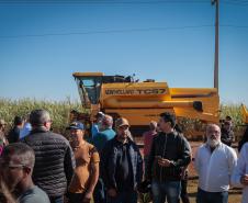 pessoas comemorando a pavimentação que liga distrito de Cianorte a Jussara