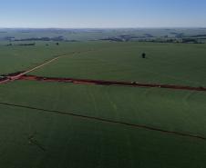 rodovias de Nova Aurora, Tupãssi e Cafelândia
