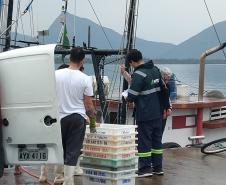 Acompanhamento técnico da atividade pesqueira na Baía de Guaratuba
