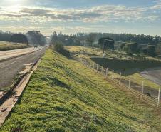 Iluminação rodoviária na PRC-272